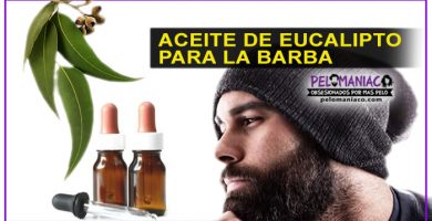 aceite de eucalipto para la barba