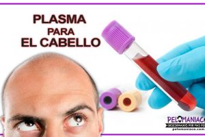 plasma para el cabello plasma rico en plaquetas