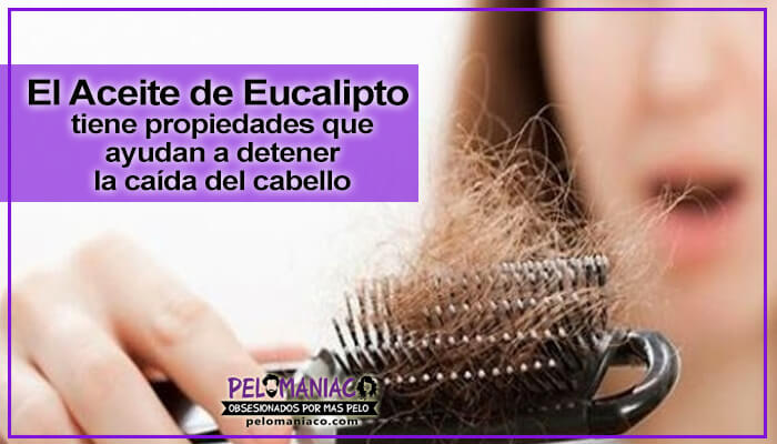 beneficios del aceite de eucalipto para el cabello