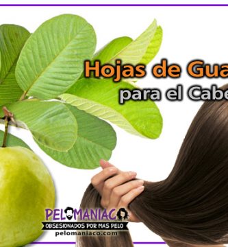 hojas de guayaba para el cabello